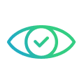 Vision Icon