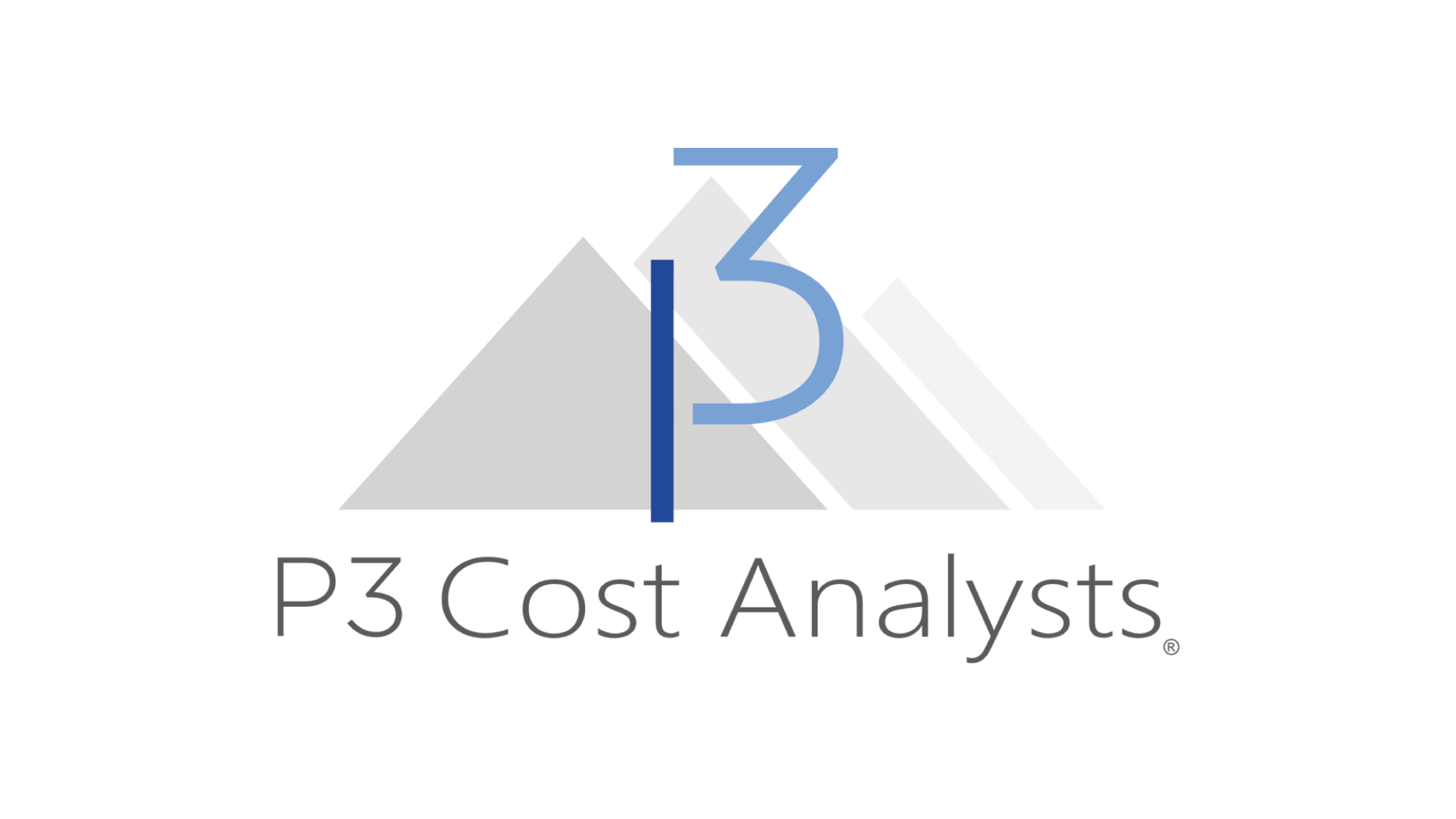 P3 Cost Analysts