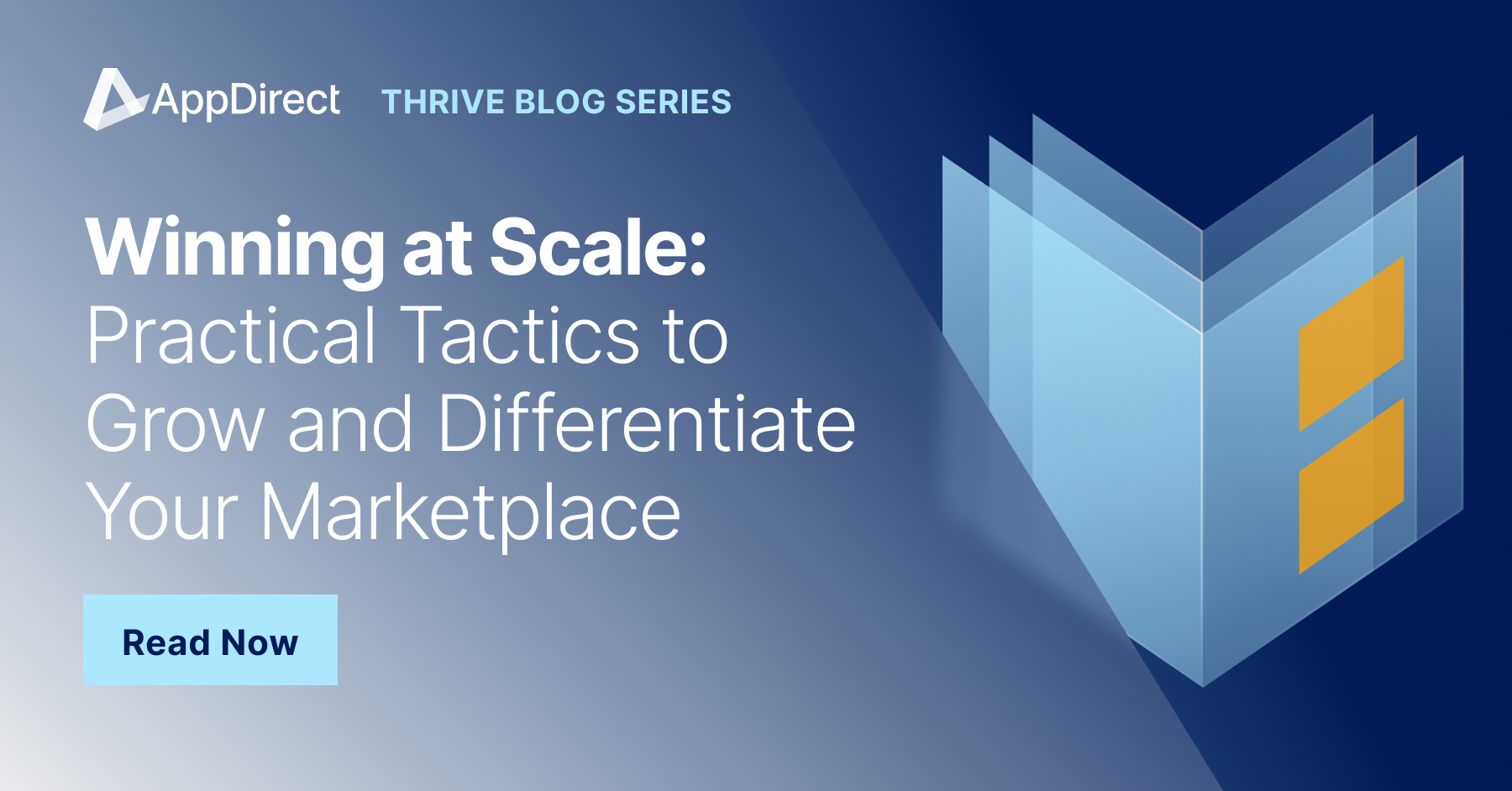 Winning at Scale: Practical tactics to grow and differentiate your marketplace