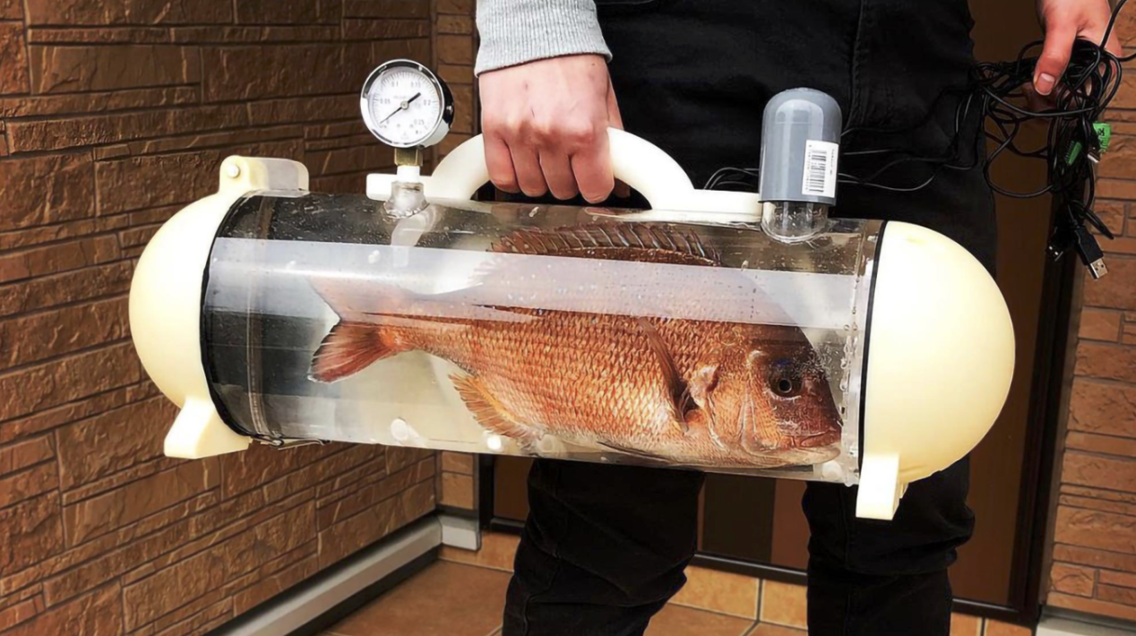 A carefully managed migration in progress